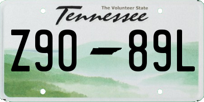TN license plate Z9089L