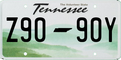 TN license plate Z9090Y