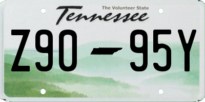 TN license plate Z9095Y