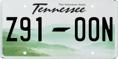 TN license plate Z9100N