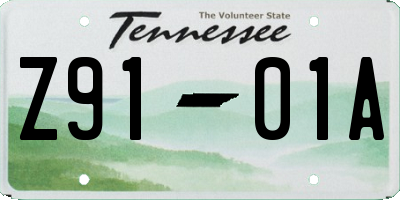 TN license plate Z9101A