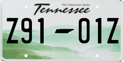 TN license plate Z9101Z