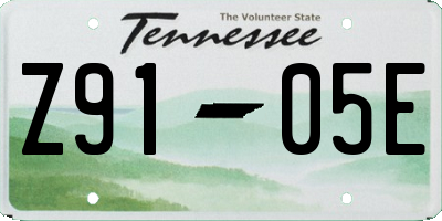 TN license plate Z9105E