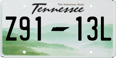 TN license plate Z9113L