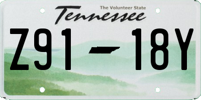 TN license plate Z9118Y