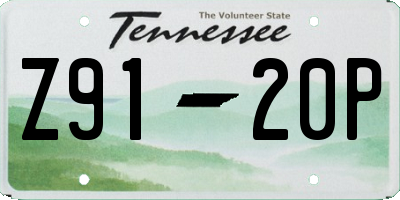 TN license plate Z9120P