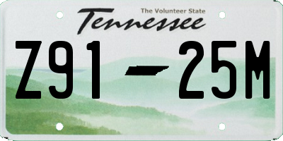 TN license plate Z9125M