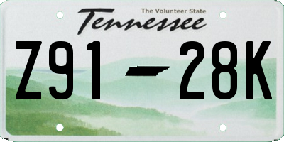 TN license plate Z9128K