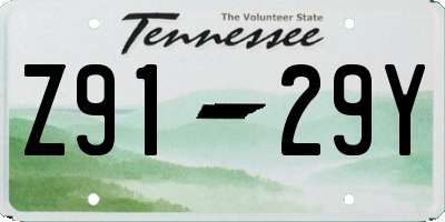 TN license plate Z9129Y