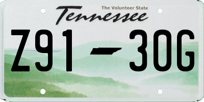 TN license plate Z9130G