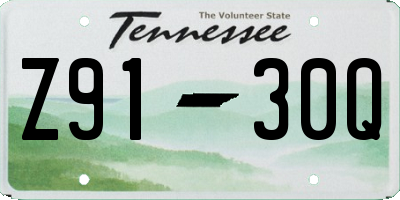 TN license plate Z9130Q