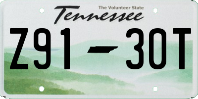 TN license plate Z9130T