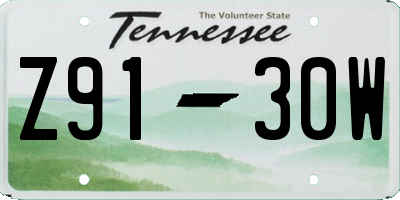 TN license plate Z9130W