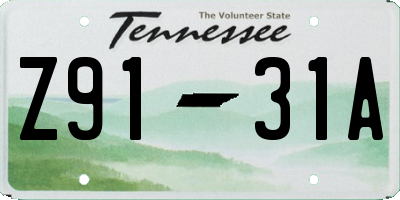 TN license plate Z9131A