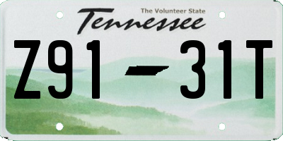 TN license plate Z9131T