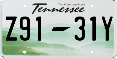 TN license plate Z9131Y