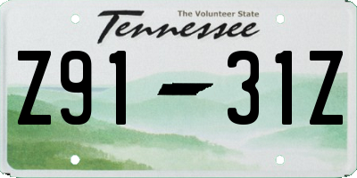 TN license plate Z9131Z