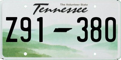 TN license plate Z9138O