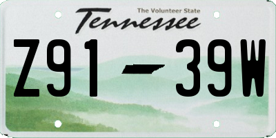 TN license plate Z9139W