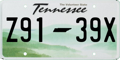 TN license plate Z9139X