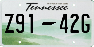 TN license plate Z9142G