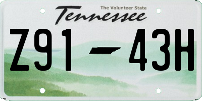 TN license plate Z9143H