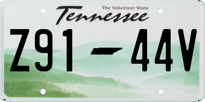TN license plate Z9144V