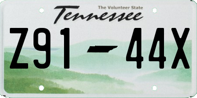 TN license plate Z9144X