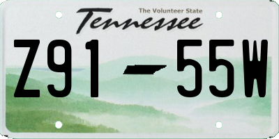 TN license plate Z9155W