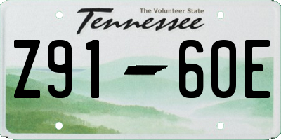 TN license plate Z9160E