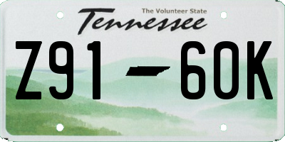 TN license plate Z9160K