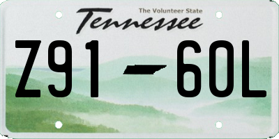TN license plate Z9160L