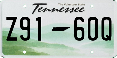 TN license plate Z9160Q