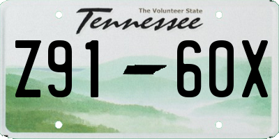 TN license plate Z9160X