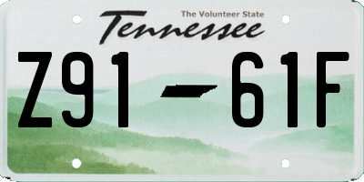 TN license plate Z9161F