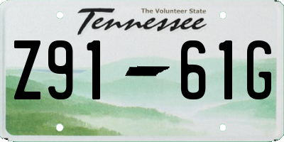 TN license plate Z9161G