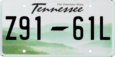 TN license plate Z9161L