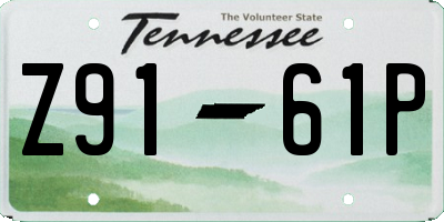 TN license plate Z9161P