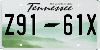 TN license plate Z9161X