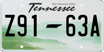 TN license plate Z9163A