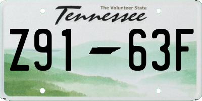 TN license plate Z9163F