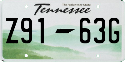 TN license plate Z9163G