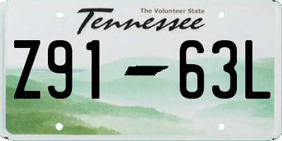 TN license plate Z9163L