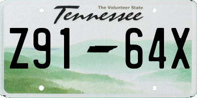 TN license plate Z9164X