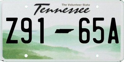 TN license plate Z9165A