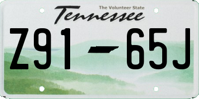 TN license plate Z9165J