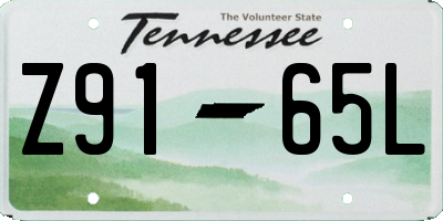 TN license plate Z9165L