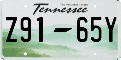 TN license plate Z9165Y