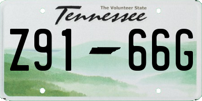 TN license plate Z9166G