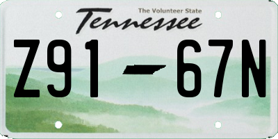 TN license plate Z9167N